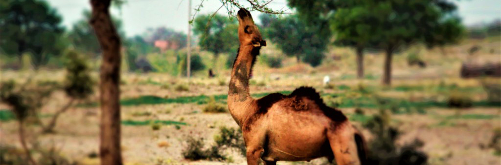 weekend Tour barmer