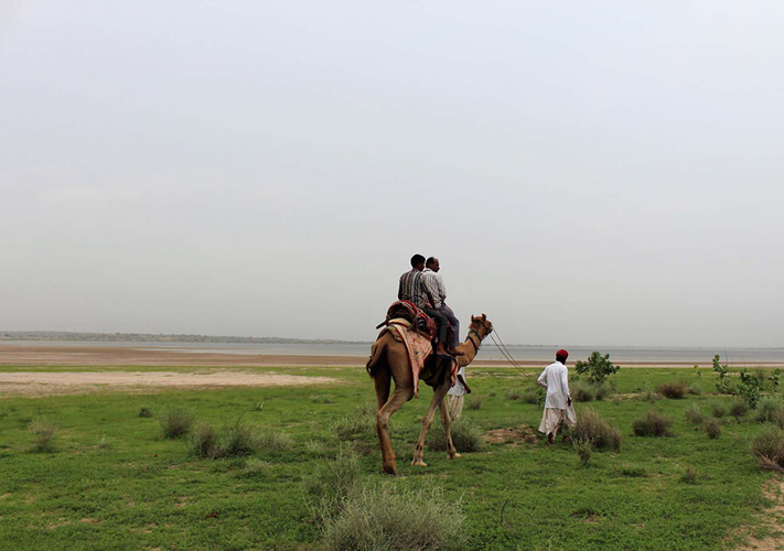 Redana Rann Tours
