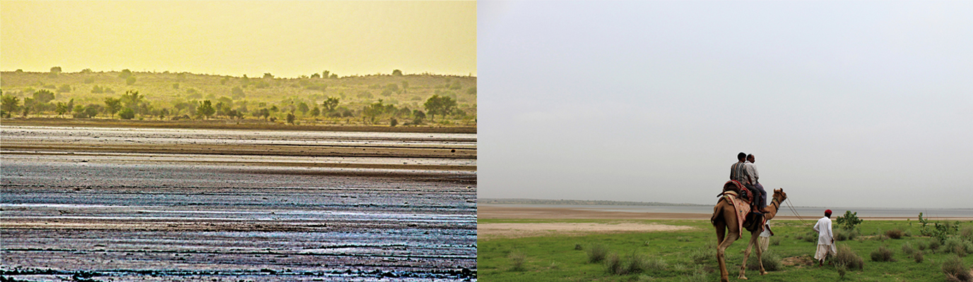 thar desert barmer