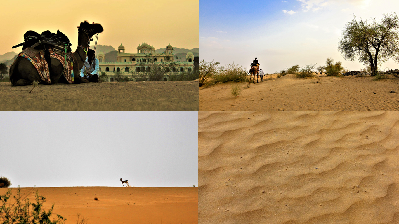 barmer desert safari